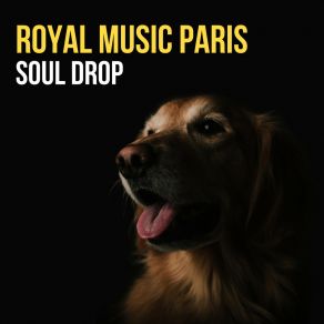 Download track Soul Drop Royal Music Paris