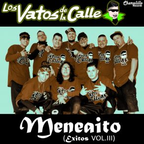 Download track Ay! Chave (En Vivo 2004) Los Vatos De La Calle