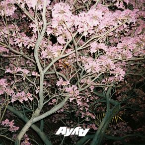 Download track What You Need (Instrumental) AY AYΟΡΓΑΝΙΚΟ