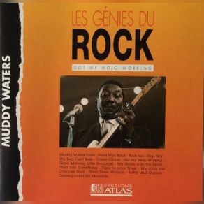 Download track Rock Me Muddy Waters