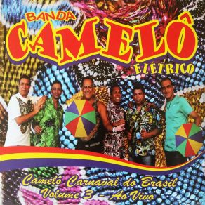 Download track Bicho Maluco Beleza (Ao Vivo) Banda Camelô