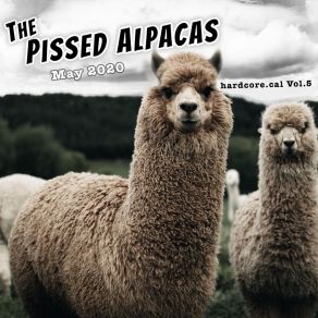 Download track May 25, 2020: Memorial Day (America), Towel Day The Pissed AlpacasAmérica