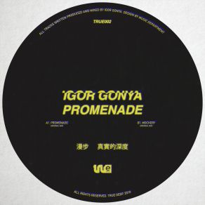 Download track Promenade (Original Mix) Igor Gonya