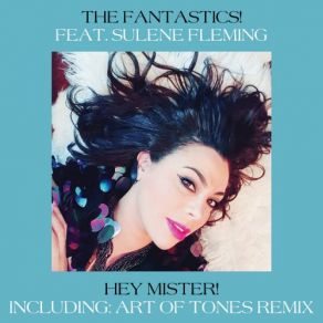 Download track Hey Mister! (Art Of Tones Extended Remix) The Fantastics