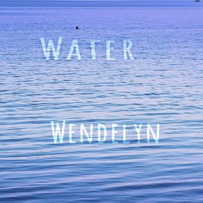 Download track Gentle Falling Rain Wendelyn