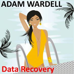 Download track Data Recovery Adam Wardell