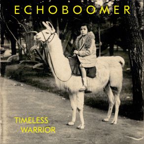 Download track Thaumatrop II (Alternate Version) Echo Boomer