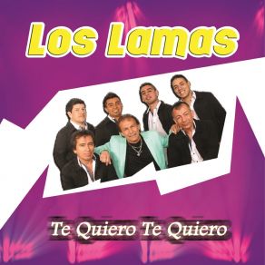 Download track Cruel Soledad Los Lamas