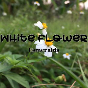 Download track White Flower Esmeralda