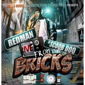 Download track My First Brick City Song Redman