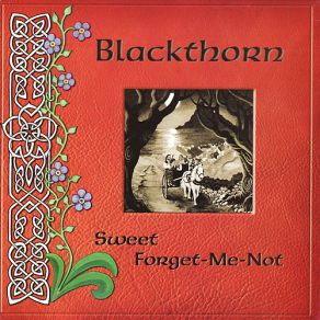 Download track A Man's A Man / Dan Sullivan's Shamrock Band Blackthorn