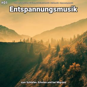 Download track Entspannungsmusik Pt. 4 Entspannungsmusik