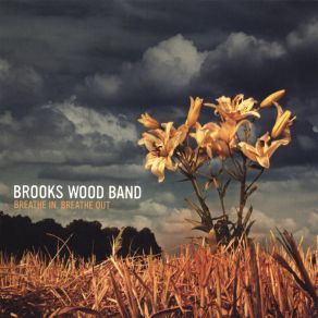 Download track More Than I Can Show Brooks Wood Band