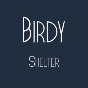 Download track Shelter (Owsey Remix) Birdy