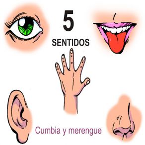 Download track El Embrujo 5 Sentidos