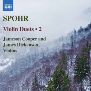 Download track Grand Duo For 2 Violins In D Minor, Op. 39 No. 1 I. Allegro James Dickenson, Jameson Cooper