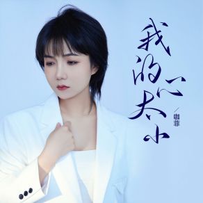 Download track 我的心太小 (和声伴奏版) 咖菲