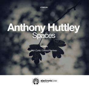 Download track Spaces (Dbond Remix) Anthony Huttley