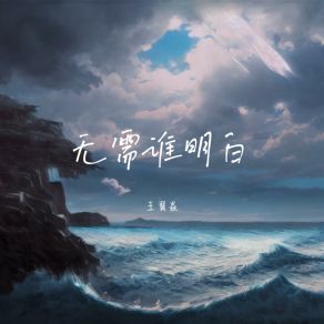 Download track 无需谁明白 (和声伴奏版) 王翼焱