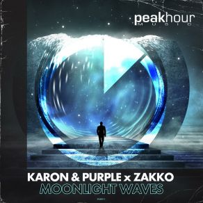 Download track Moonlight Waves Zakko