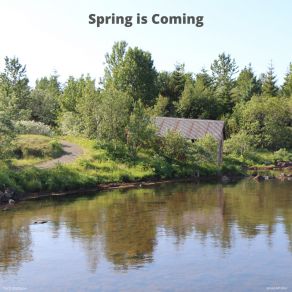 Download track Spring Is Coming Torfi Olafsson