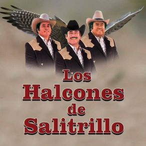 Download track Amargo Dolor Los Halcones De Salitrillo