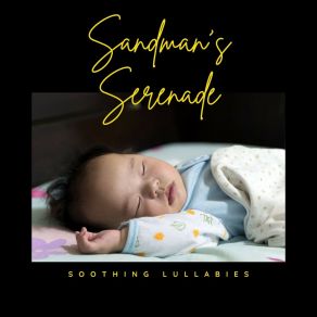 Download track Lullaby Playlist Soothing Lullabies