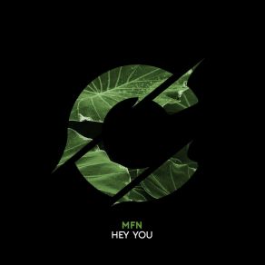 Download track Hey You (Tech-Edit) MFN