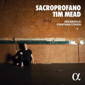 Download track 24. Sinfonia In B Minor, RV 169 Al Santo Sepolcro II. Allegro Ma Poco Tim Mead, Arcangelo