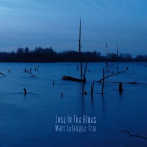 Download track The Road To Recovery Marc Lelangue Trio