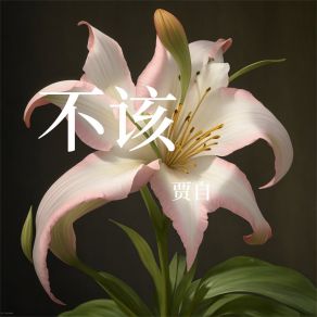 Download track 爱无结果 贾自