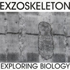 Download track Exploring Biology 2 Exzoskeleton