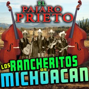 Download track El Pájaro Prieto Los Rancheritos De Michoacan