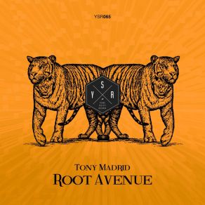 Download track Root Avenue Tony Madrid