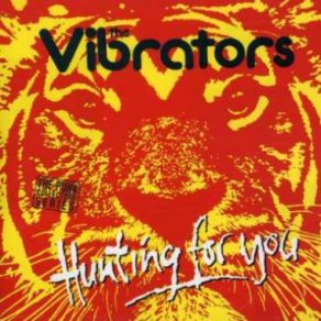 Download track Hunting For You The Vibrators