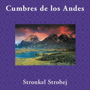 Download track Ojos Del Salado Stronkel Strobej