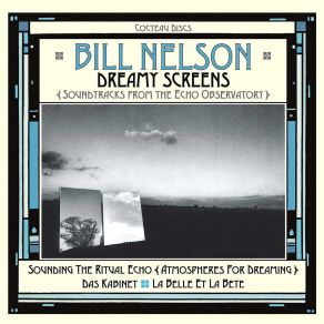 Download track The Dream Dance Of Jane And The Somnambulist Bill Nelson