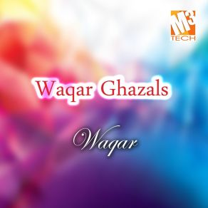 Download track Sar Se Paoon Tak Waqar