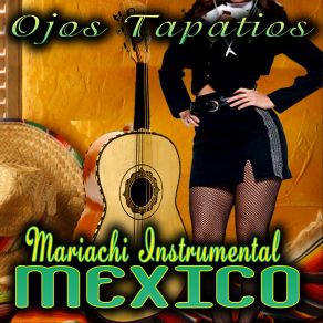 Download track Serenata Tropical Mariachi Instrumental Mexico