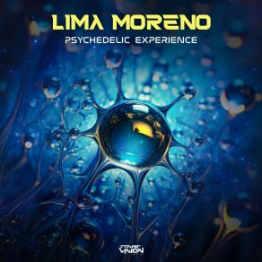 Download track Psychedelic Experience (Zivo Remix) Lima MorenoZivo