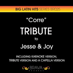 Download track Corre (Karaoke Version) [Originally Performed By Jesse & Joy] Brava HitMakers