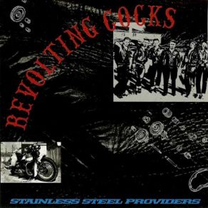 Download track Stainless Steel Providers Revolting Cocks