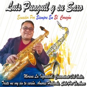 Download track Mosaico Albazos: Morena La Ingratitud / El Pilahuin / Vestida De Azul (Aire Típico) / Compadre Péguese Un Trago / La Banda De Peñaherrera (Bomba Tradicional) / Si Tu Me Olvidas / Solo Por Tu Amor Luis Punguil