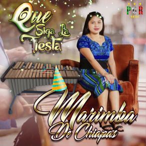 Download track El Electricista Marimba De Chiapas