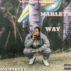 Download track I Swear To God BoeMarley