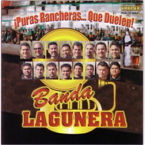 Download track En Cada Vida Banda Lagunera