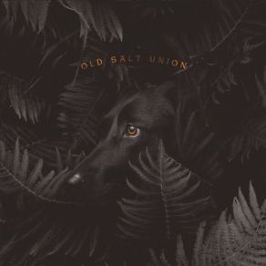 Download track God You Don't Need Old Salt Union