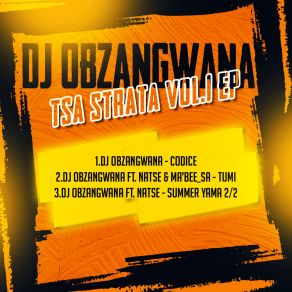 Download track Codice A Barre (Original Mix) Dj Obzangwana