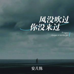 Download track 风没吹过你没来过 安儿陈