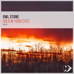 Download track Abstract World Stone Owl